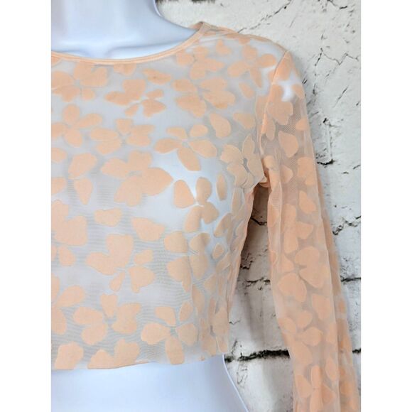 VICTORIA'S SECRET Floral Flocked Sheer Mesh Stretch Crop Top Pink Festival Small - Picture 3 of 6